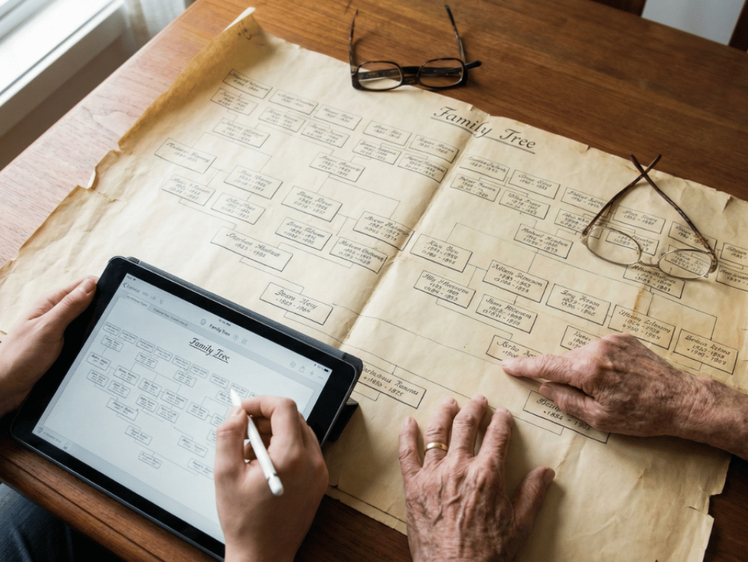 Ozvěna v naší krvi: Jak jsem díky jednomu kliknutí zjistil, po kom vlastně jsem.